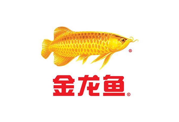 赢咖4减速机厂家客户见证之金龙鱼食用油全自动生产线